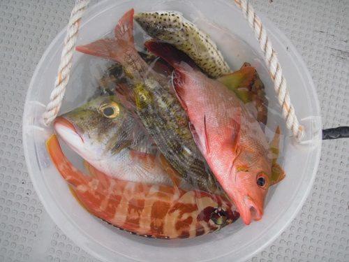 ゲストハウス備瀬の海 المظهر الخارجي الصورة