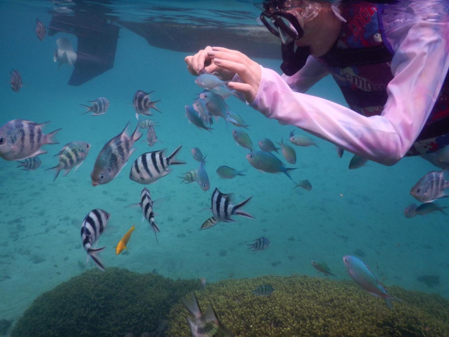 ゲストハウス備瀬の海 المظهر الخارجي الصورة